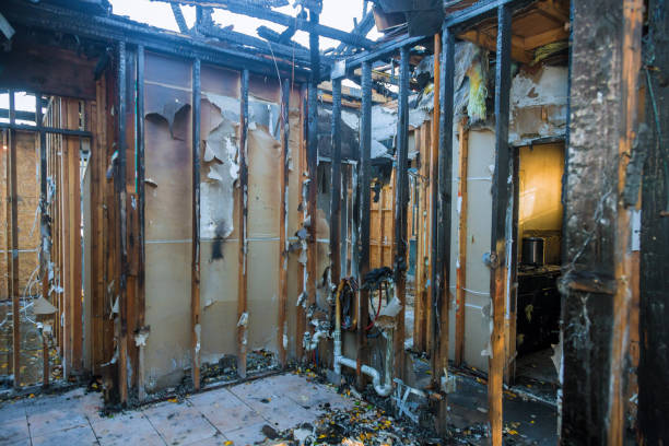 Professional Soot Cleanup technician working in Naples Park, FL